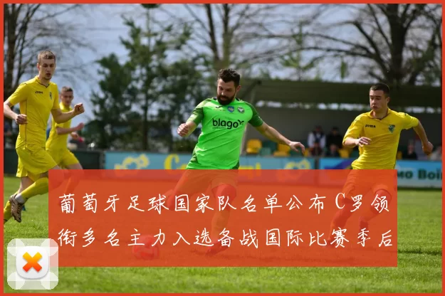 葡萄牙足球国家队名单公布 C罗领衔多名主力入选备战国际比赛季后赛