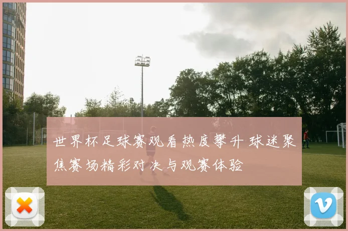 世界杯足球赛观看热度攀升 球迷聚焦赛场精彩对决与观赛体验