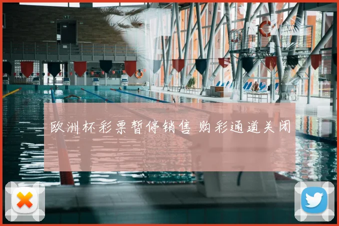 欧洲杯彩票暂停销售 购彩通道关闭