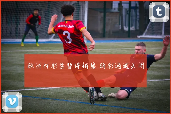 欧洲杯彩票暂停销售 购彩通道关闭